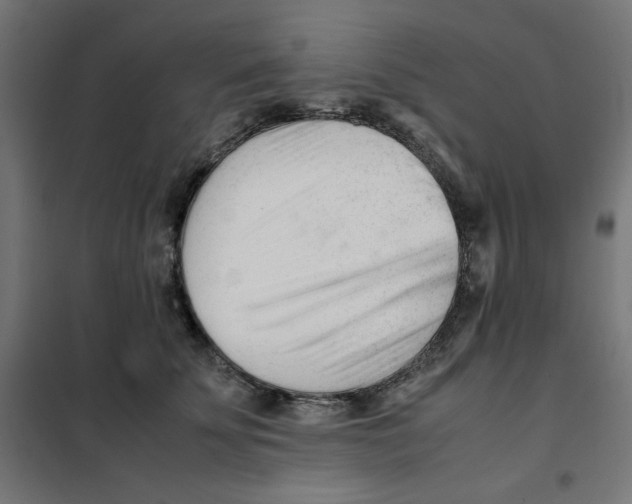 X0000101660707200808071021