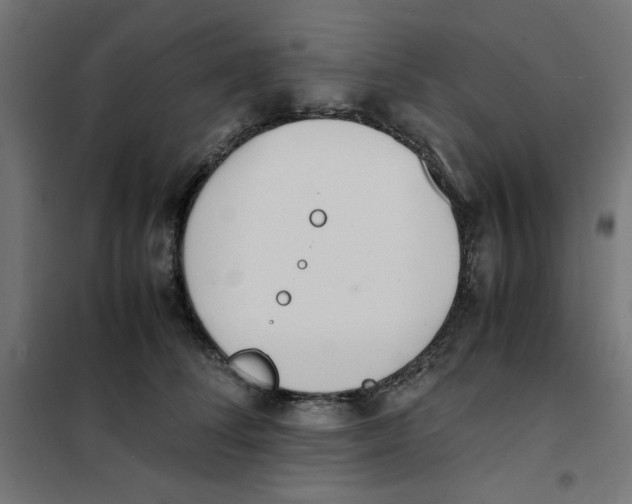 X0000101660708200808071021
