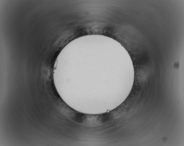X0000101660709200808071021