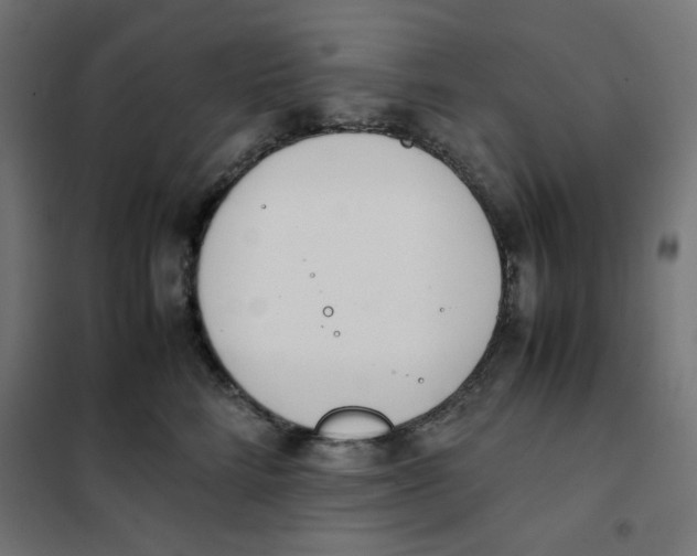 X0000101660712200808071021