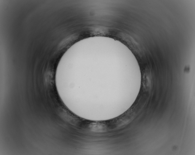X0000101660714200808071021