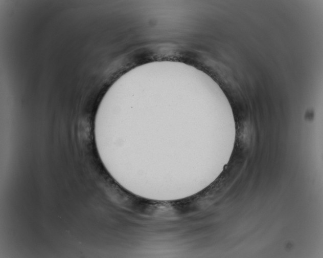X0000101660715200808071021