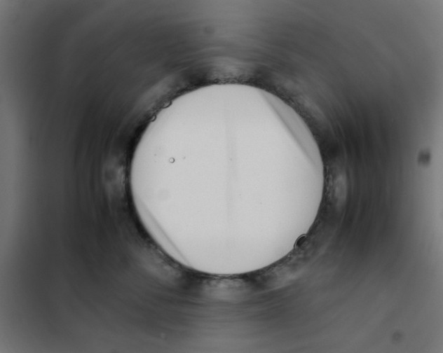 X0000101660716200808071021