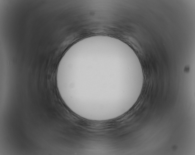 X0000101660717200808071021