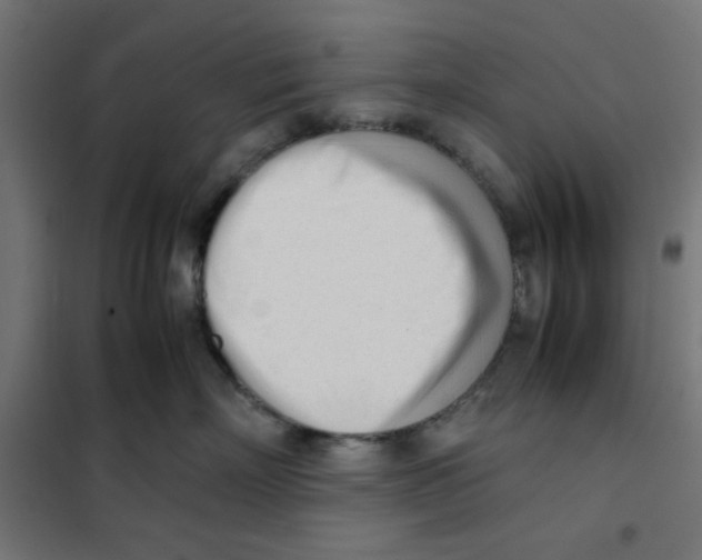 X0000101660718200808071021