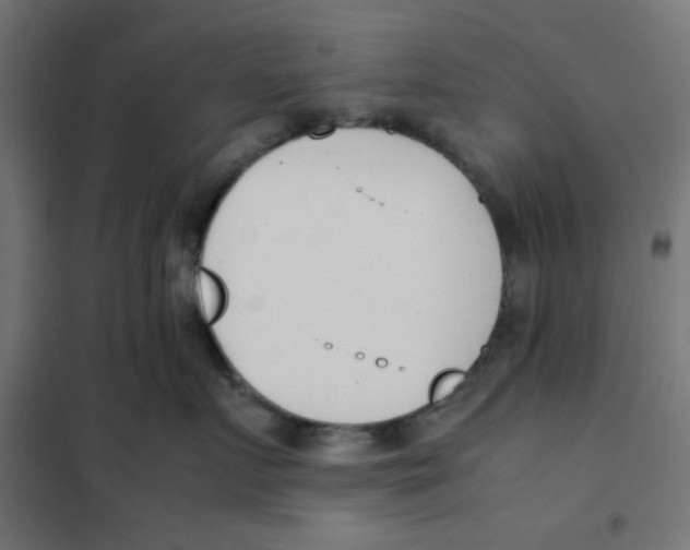 X0000101660719200808071021