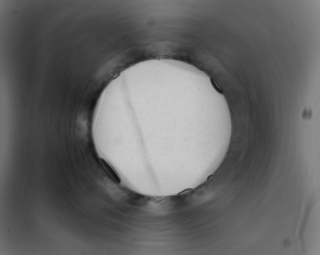 X0000101660720200808071021