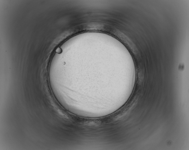 X0000101660721200808071020