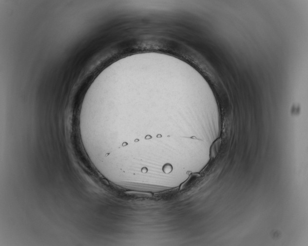 X0000101660722200808071020
