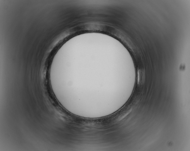X0000101660723200808071020