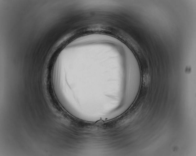 X0000101660724200808071020