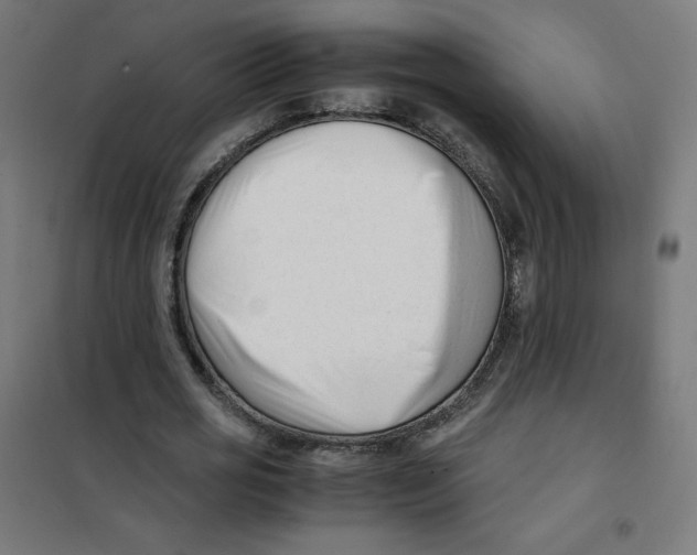 X0000101660725200808071020