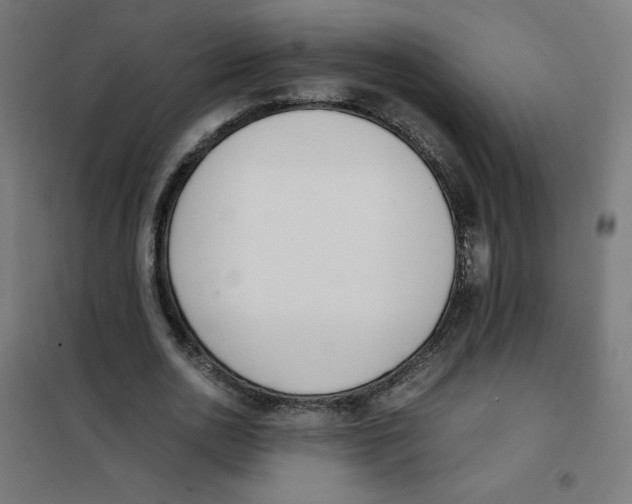 X0000101660726200808071020