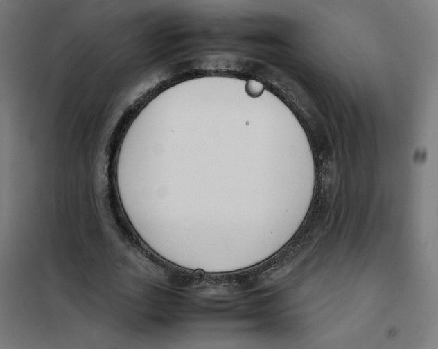 X0000101660727200808071020