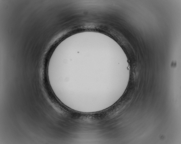 X0000101660728200808071020