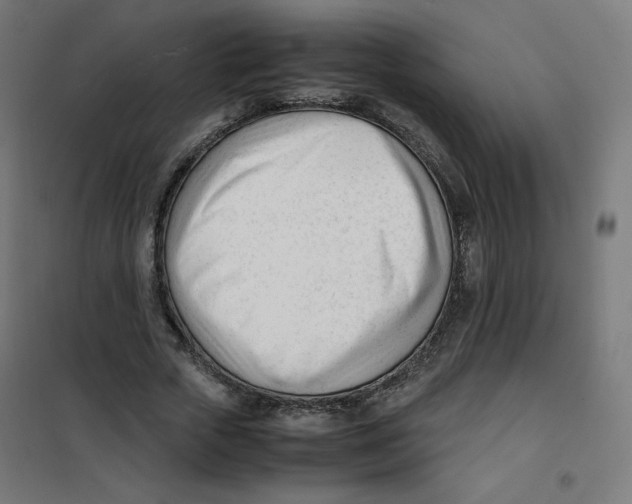 X0000101660729200808071020