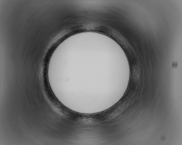 X0000101660730200808071020