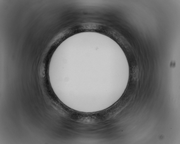 X0000101660731200808071020