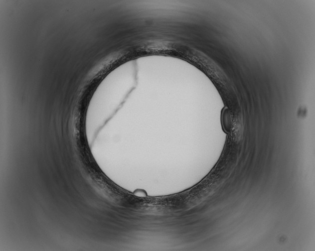 X0000101660732200808071020