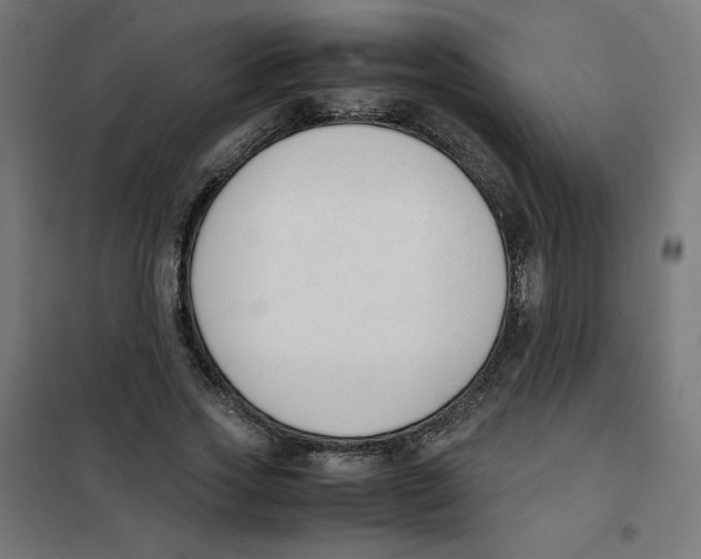 X0000101660733200808071020