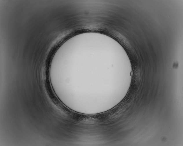 X0000101660734200808071020