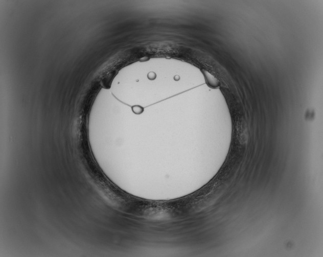 X0000101660735200808071020