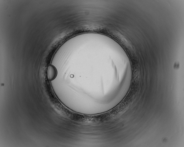 X0000101660736200808071020