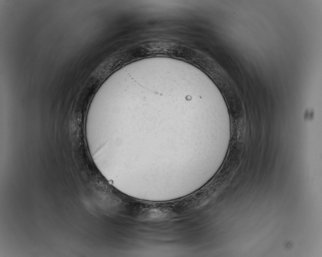X0000101660737200808071020