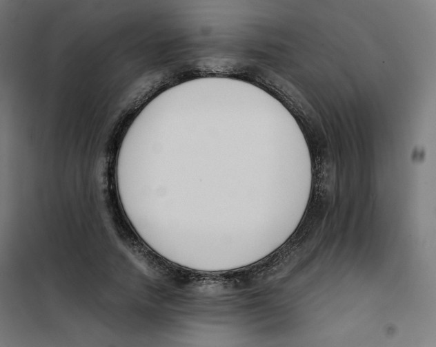 X0000101660738200808071020