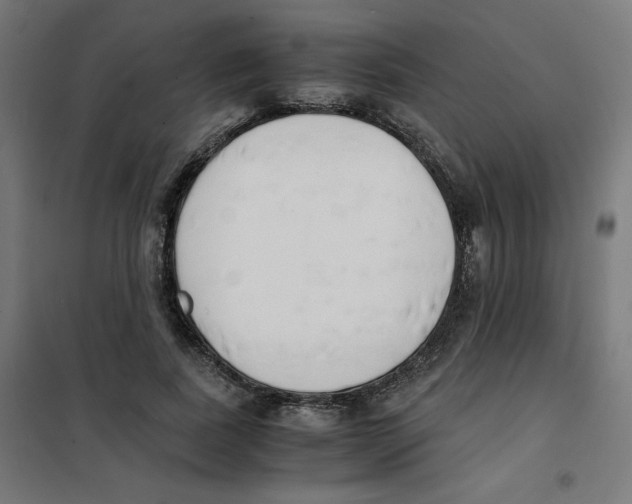 X0000101660739200808071020