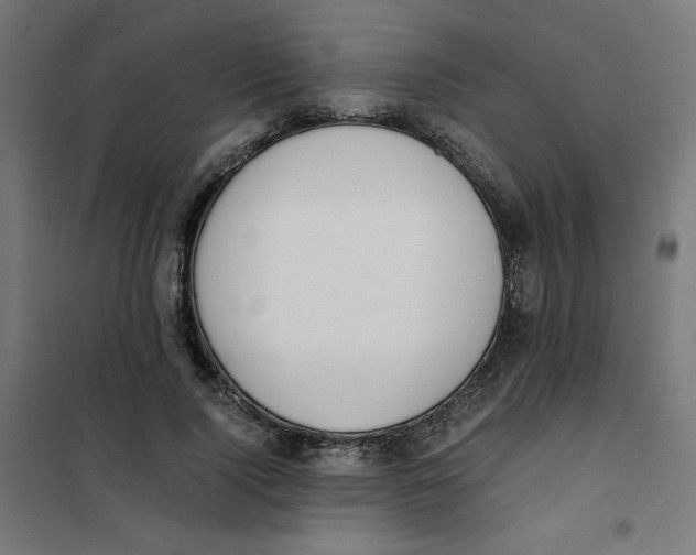 X0000101660740200808071020