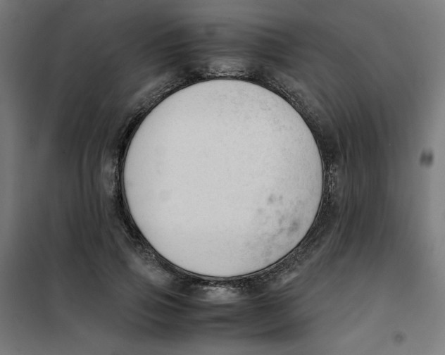 X0000101660741200808071020