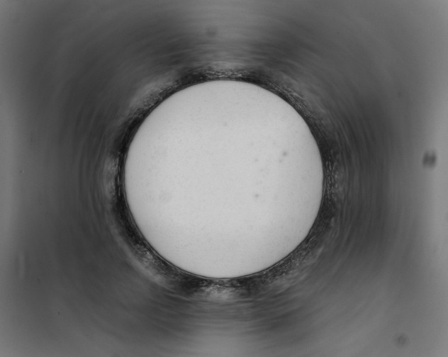 X0000101660742200808071021