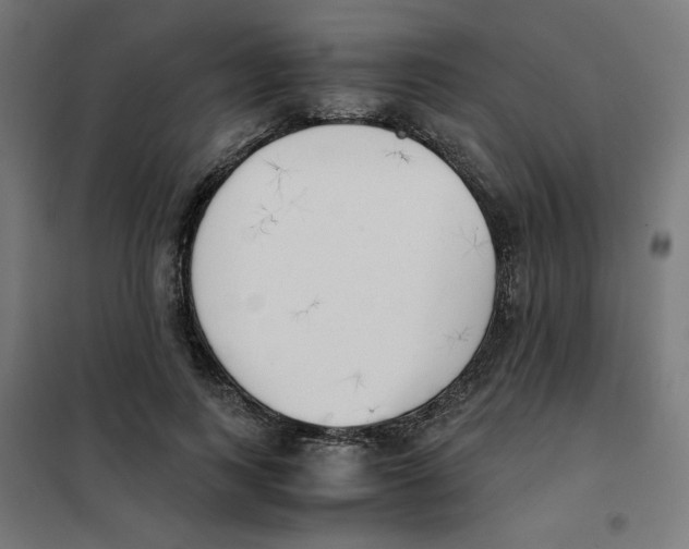 X0000101660743200808071021
