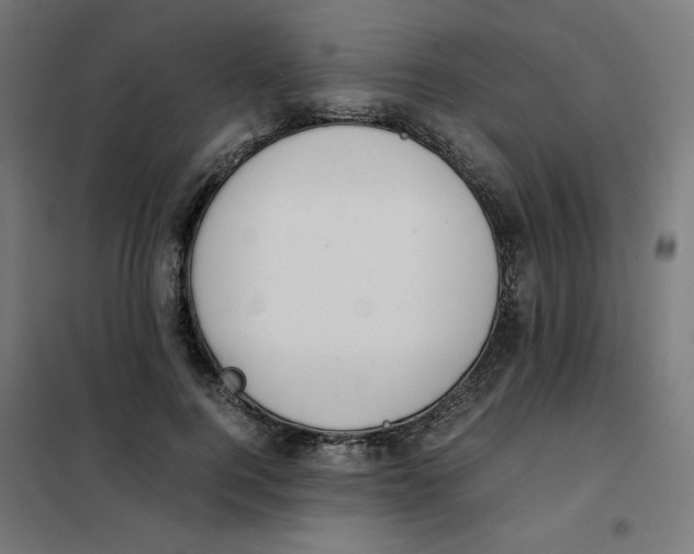 X0000101660744200808071021