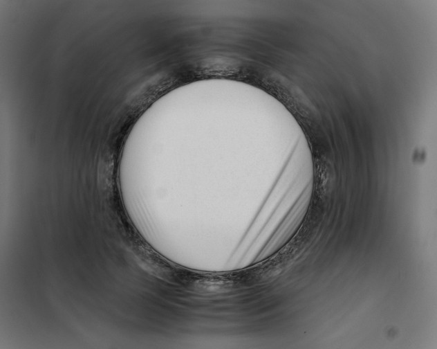 X0000101660745200808071021