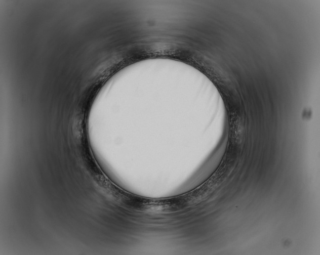X0000101660746200808071021