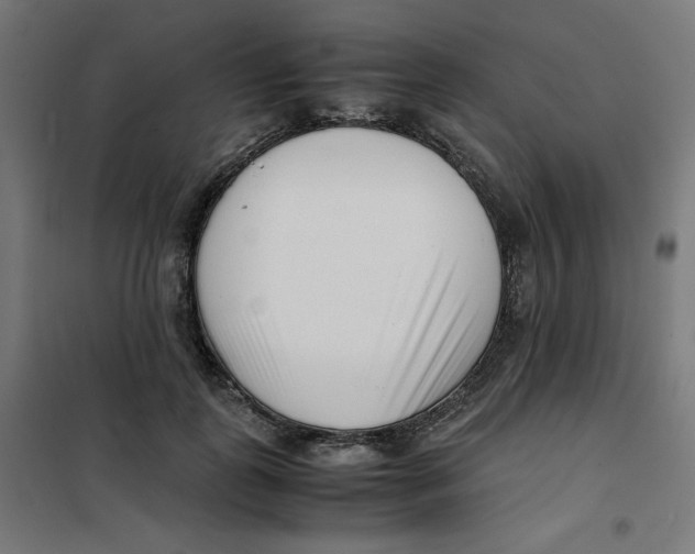 X0000101660747200808071021