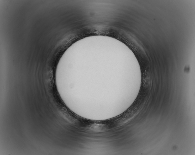 X0000101660748200808071021