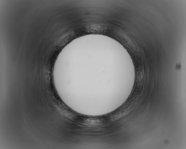 X0000101660749200808071021