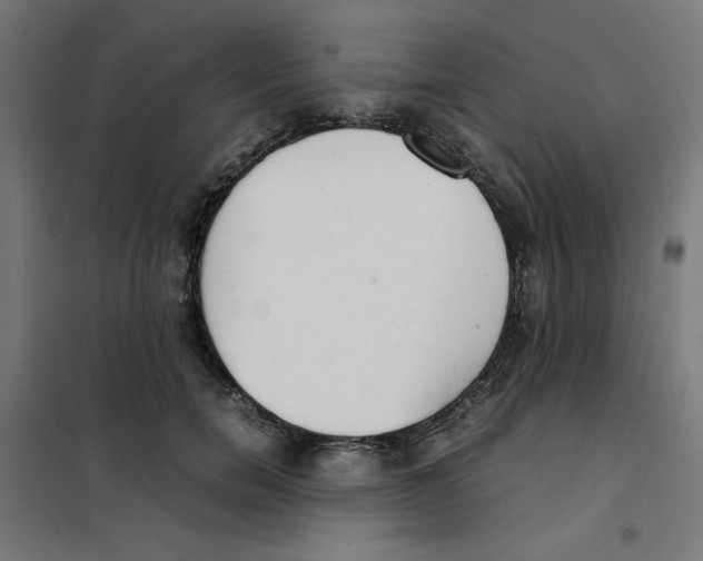 X0000101660750200808071021