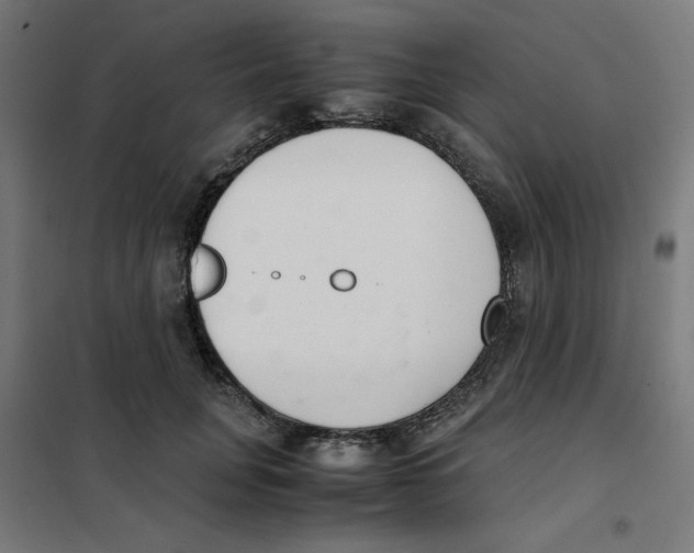 X0000101660751200808071021