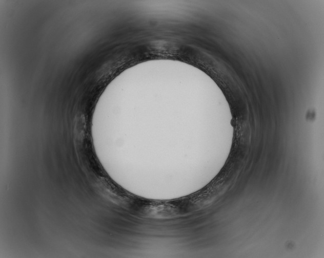 X0000101660752200808071021