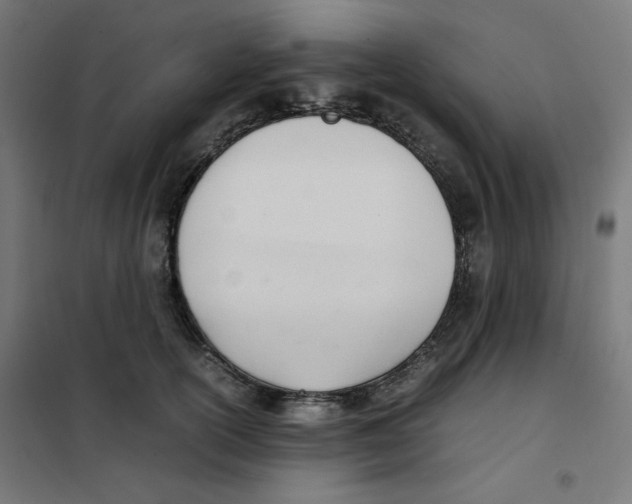 X0000101660754200808071021
