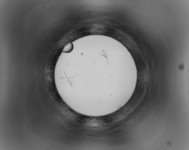 X0000101660755200808071021