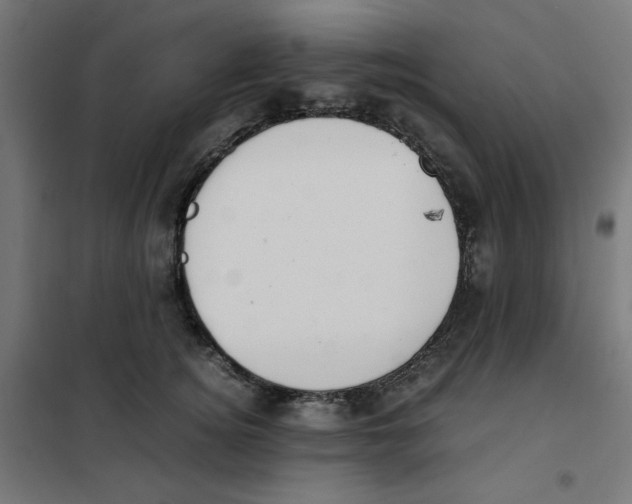 X0000101660756200808071021