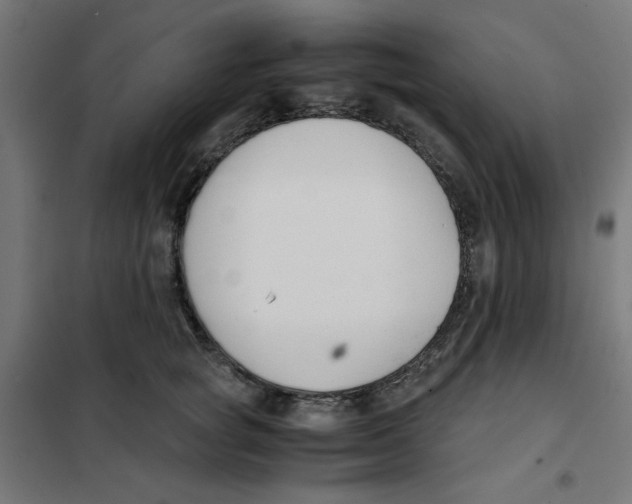 X0000101660757200808071021