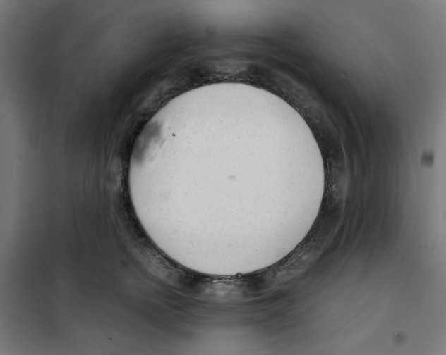 X0000101660758200808071021