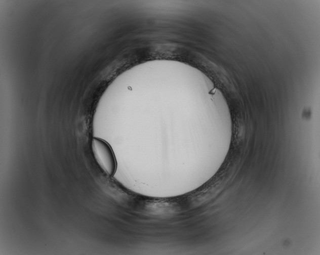 X0000101660759200808071021