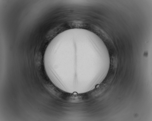 X0000101660760200808071021
